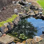 Goldfish Glen