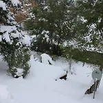 Colorado Four Season Funhouse