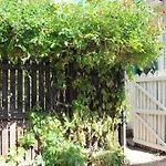 Charming Downtown Cottage With Parking & Full Kitchen