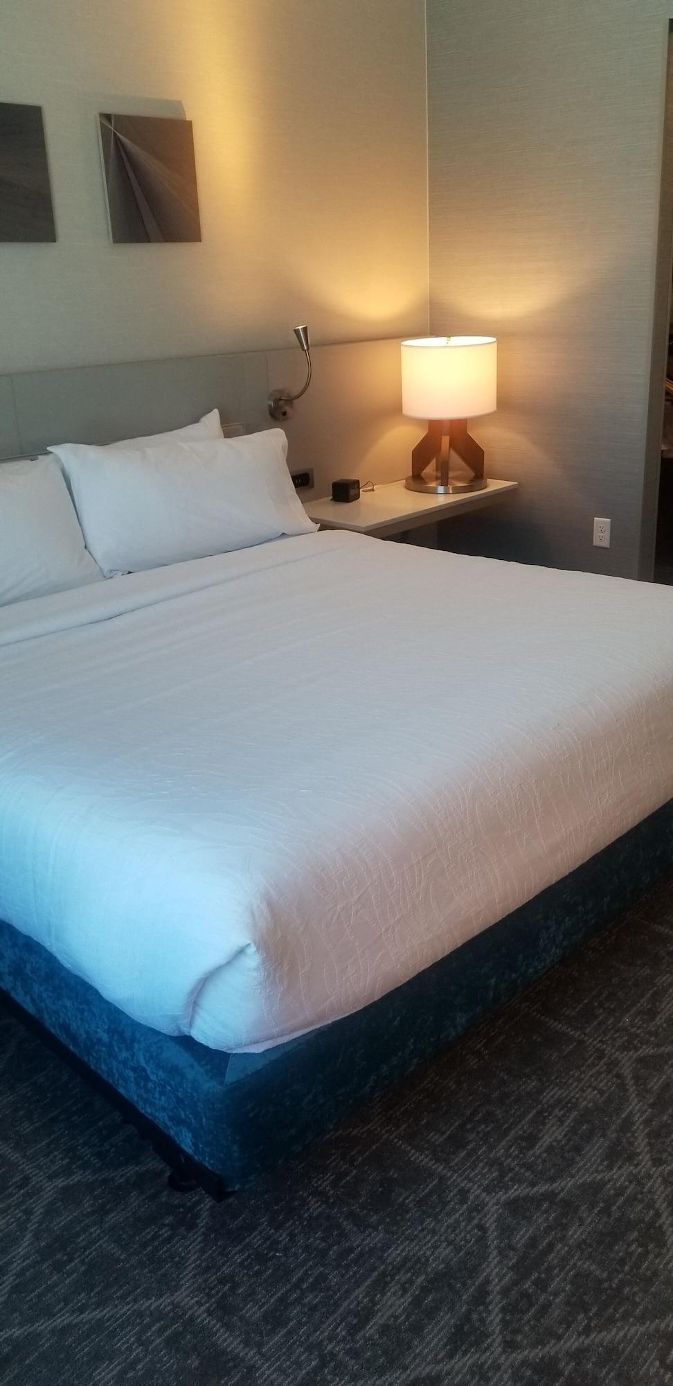 Hilton Garden Downtown, Co Hotel