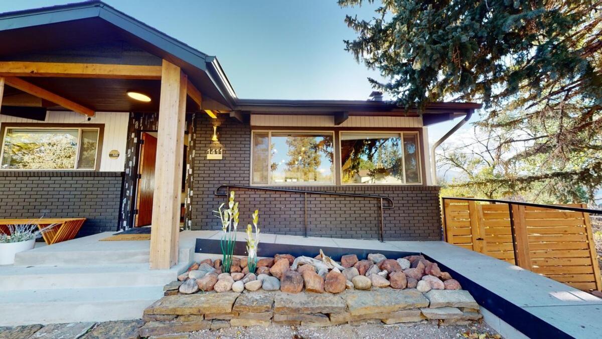 Lion - Prime Spot Game Hot Tub Fire Pit Colorado Springs