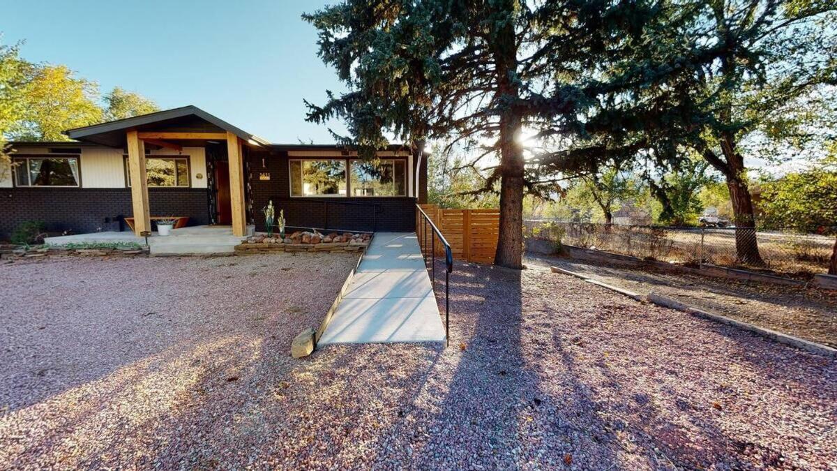 Lion - Prime Spot Game Hot Tub Fire Pit Colorado Springs