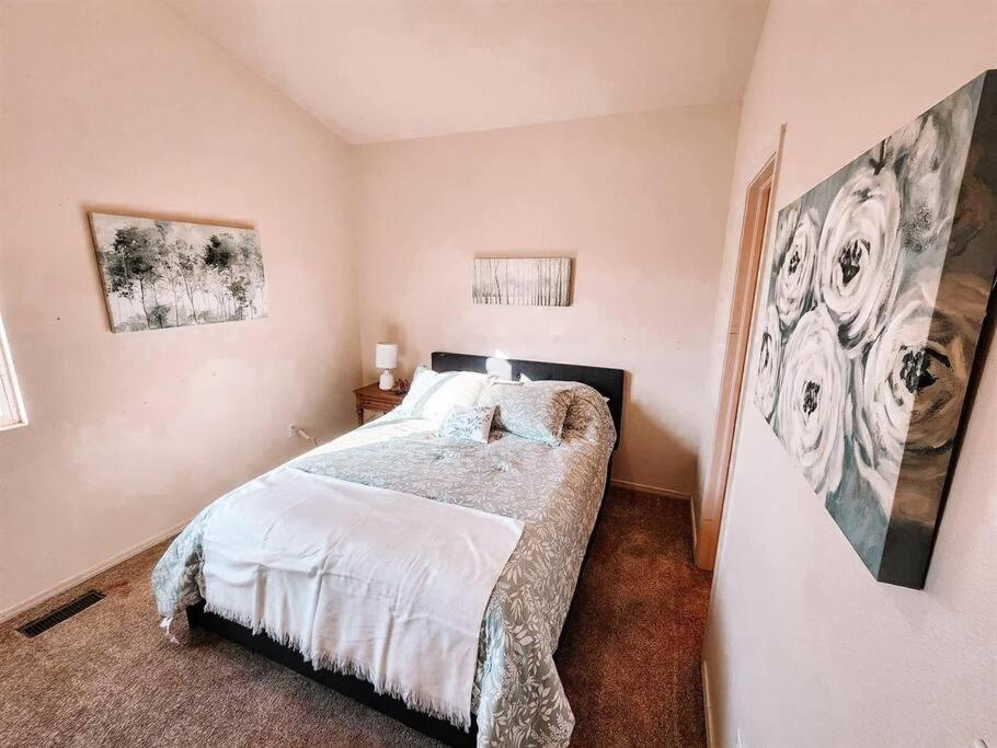 Pet Friendly/3 King Beds/sleeps 14/game Near Villa