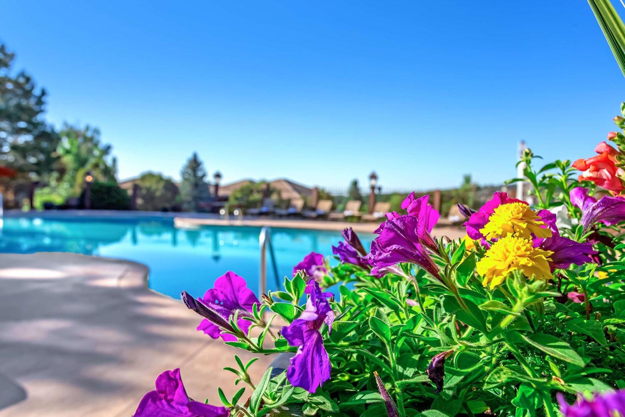 Cheyenne Mountain Resort, A Destination By Hyatt Resort Colorado Springs