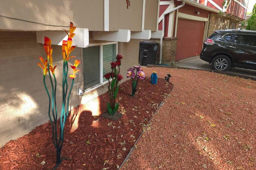 Colorado Four Season Funhouse * Colorado Springs