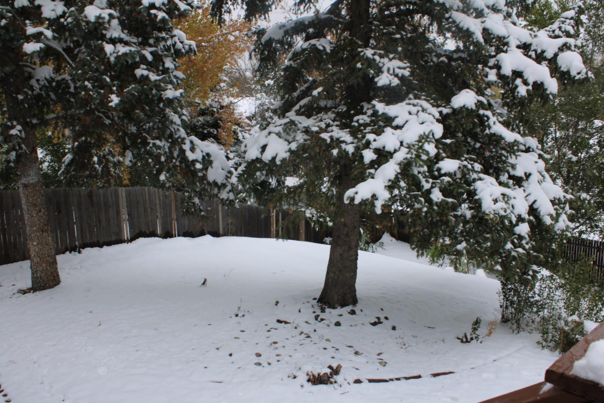 Colorado Four Season Funhouse Colorado Springs