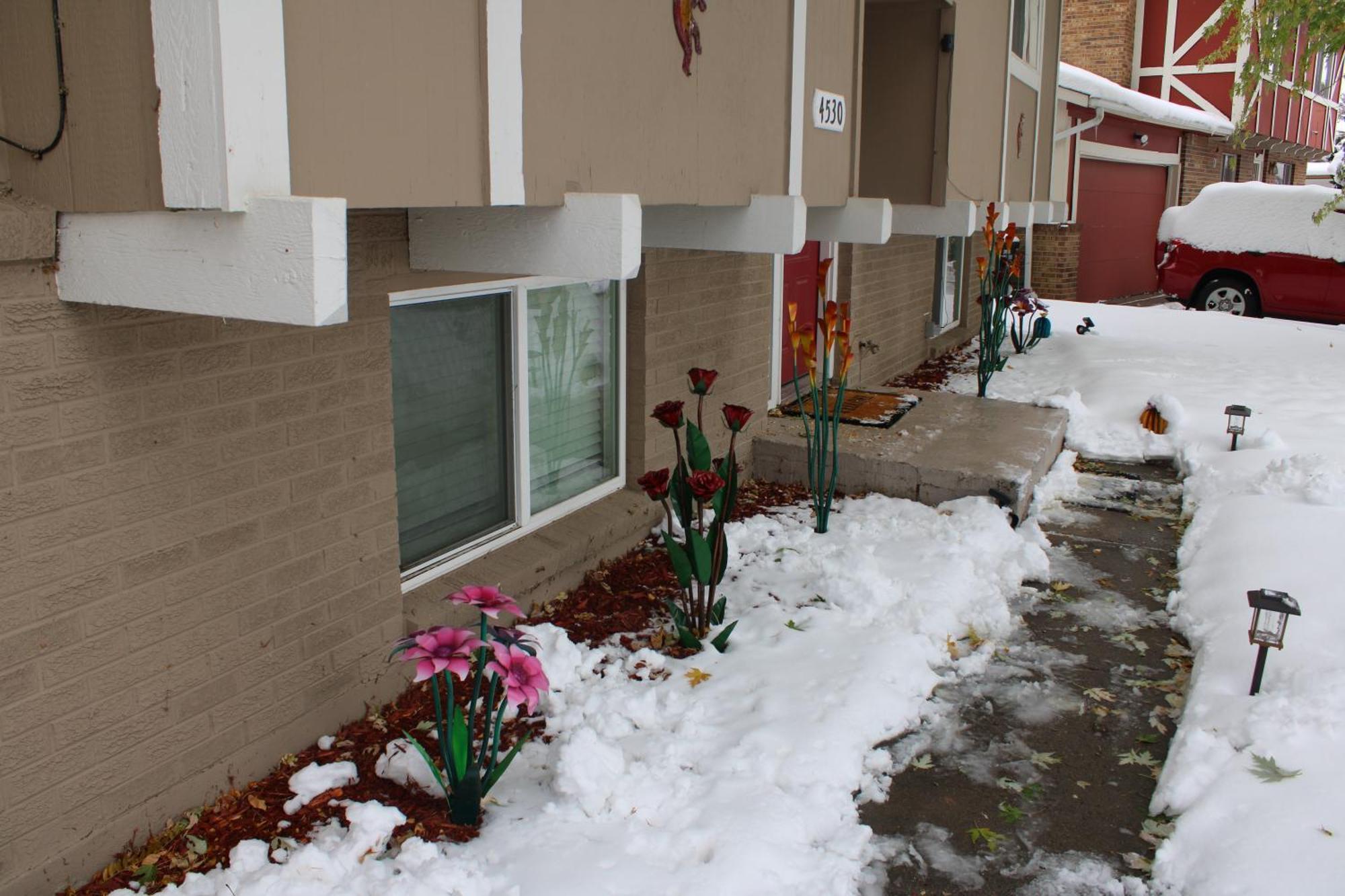 Colorado Four Season Funhouse *