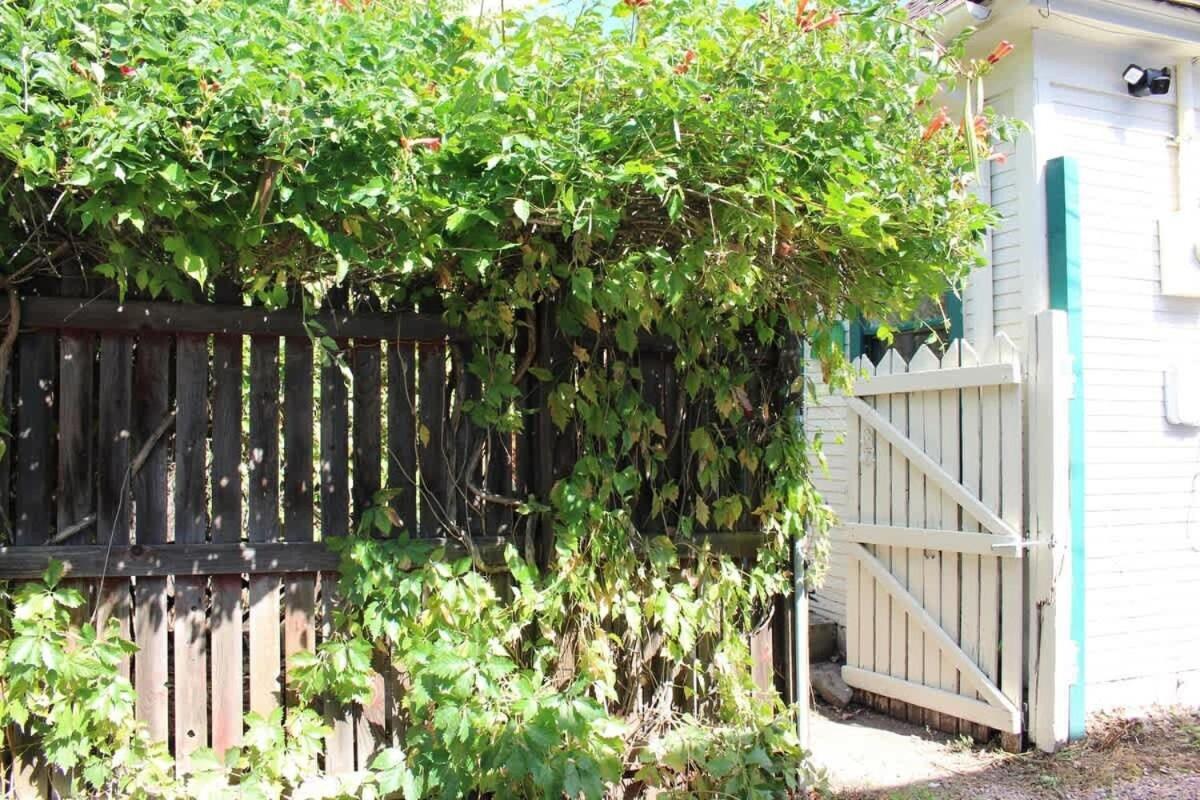 Apartment Charming Downtown With Parking & Full Kitchen Colorado Springs