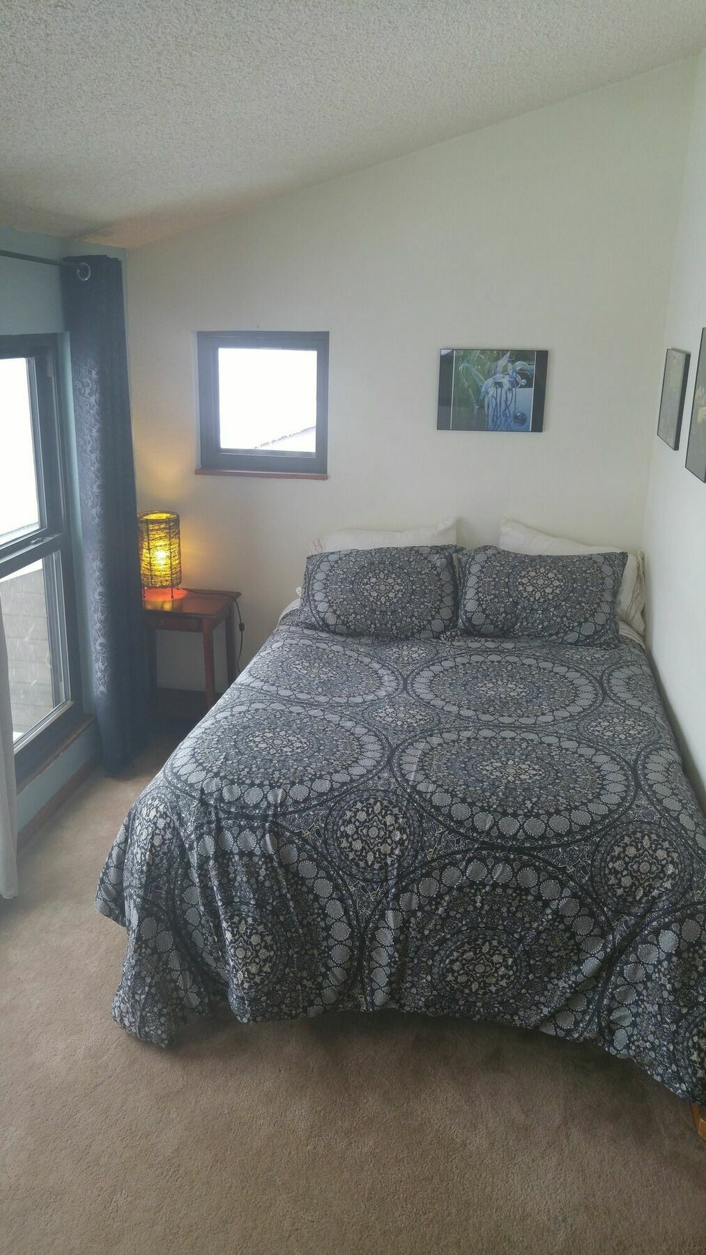 Lofty Living & Brkfst Colorado Springs