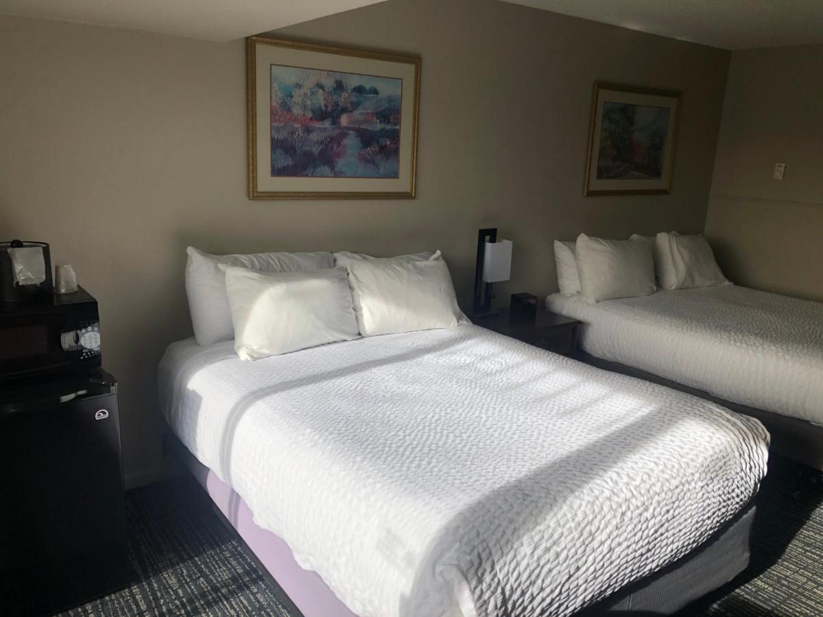 Hotel Satellite 3*