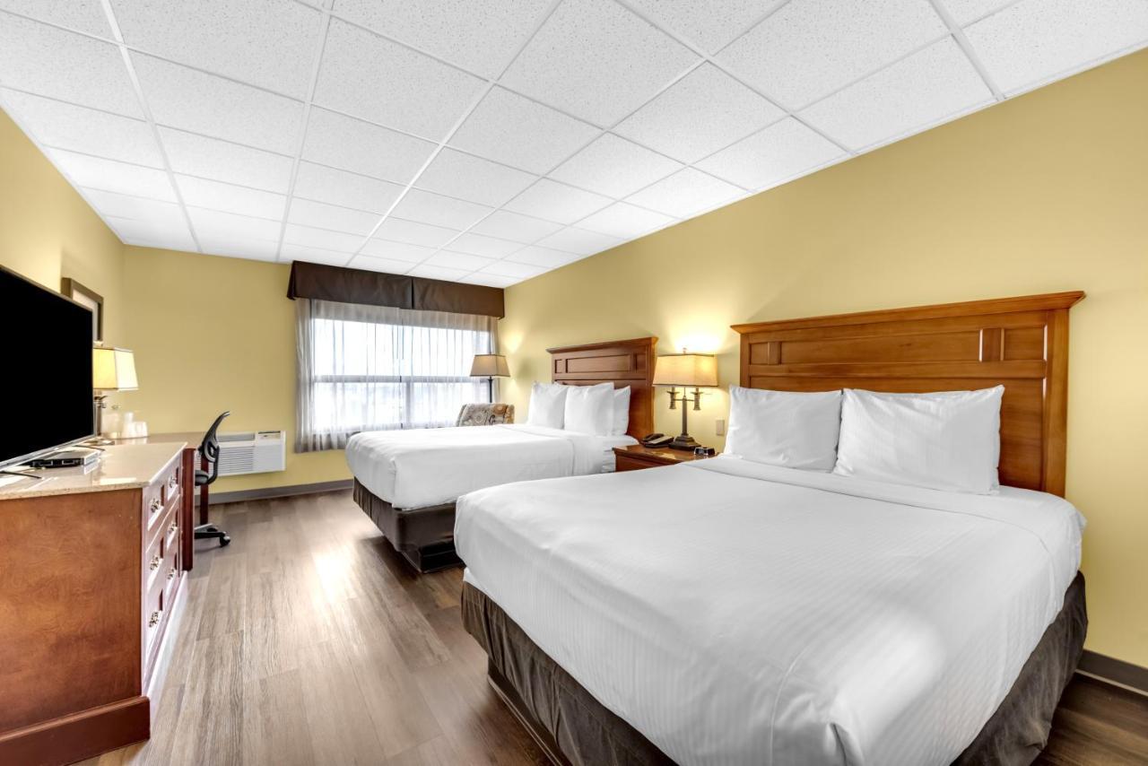 The Academy Hotel 4*