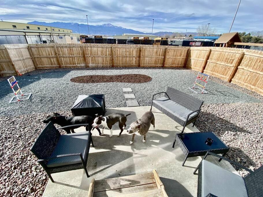 New, Pet-friendly, Cozy Home!