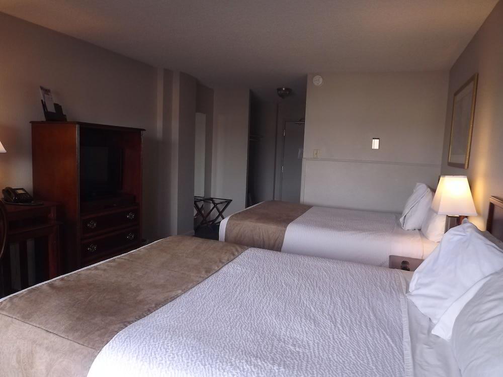 Hotel Satellite 3*