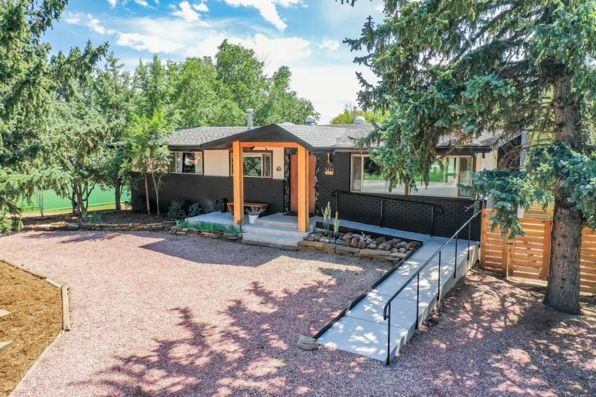 Lion - Prime Spot Game Hot Tub Fire Pit Colorado Springs