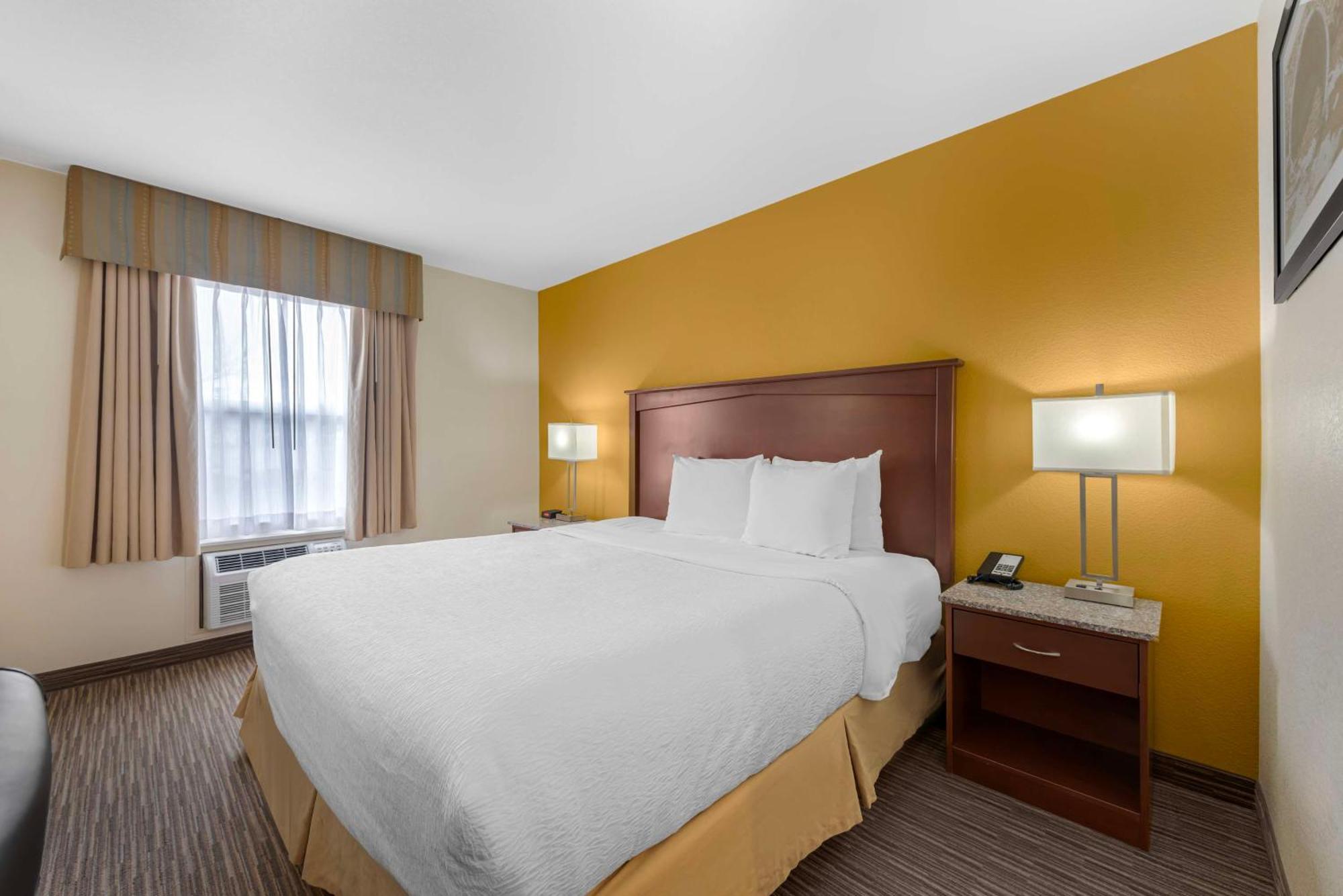 Western Executive & Colorado Springs