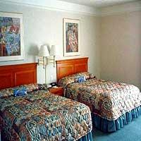 Hotel La Quinta By Wyndham South Airport