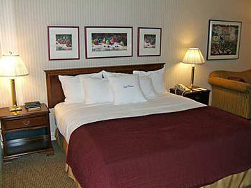 Doubletree By Hilton - World Arena, Co Hotel 5*