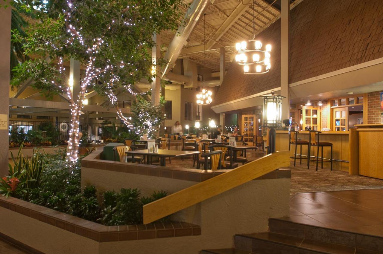 Hotel The Academy 4*