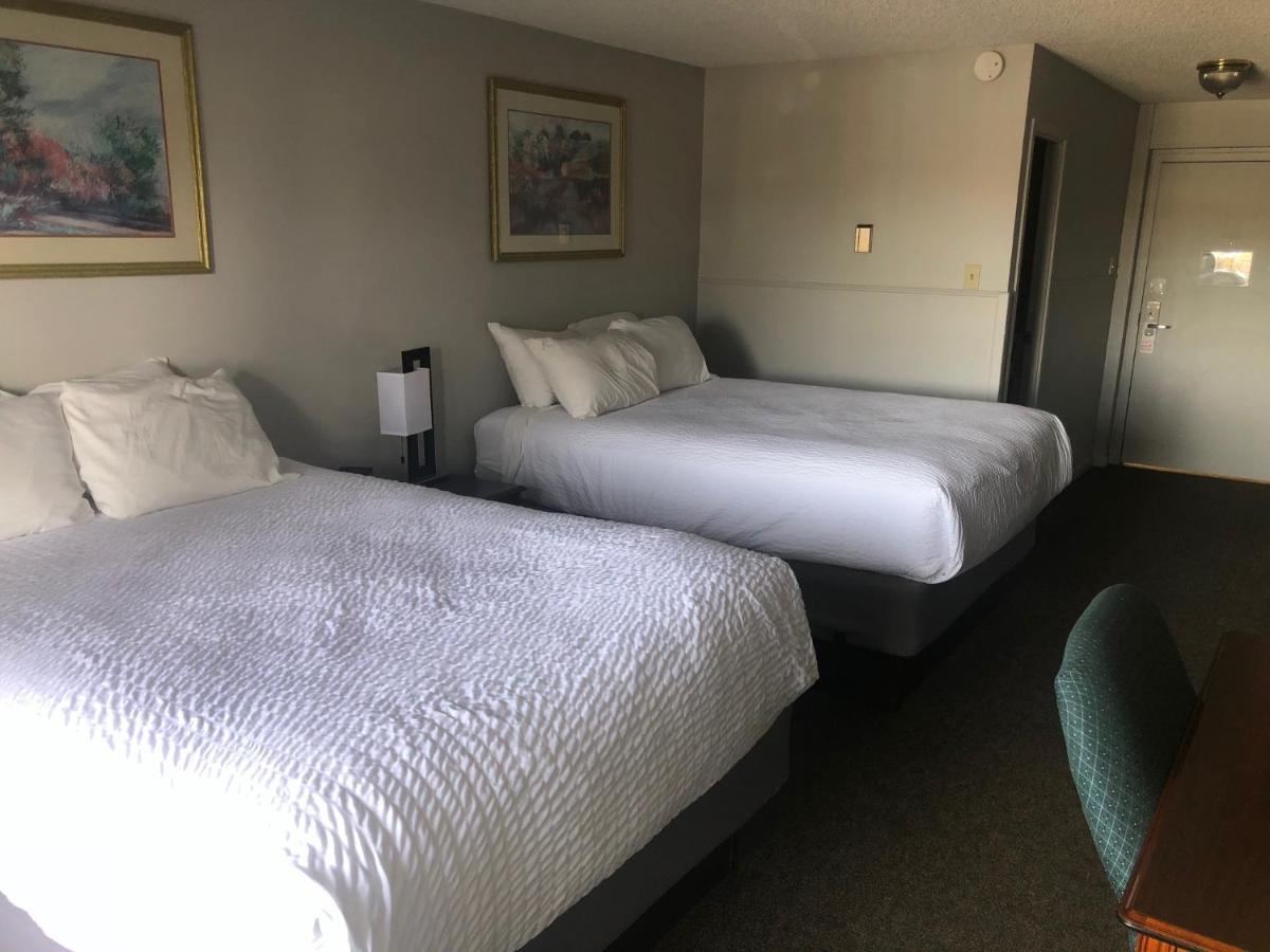 Hotel Satellite 3*